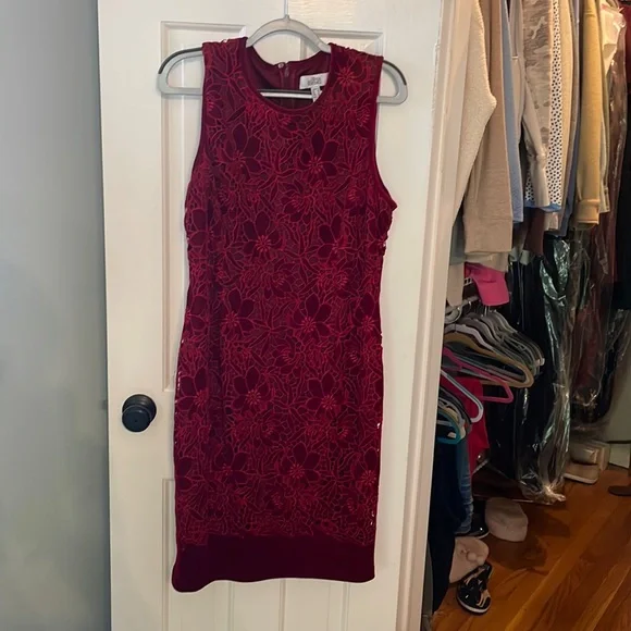 Deep Red velvet Badgley Mischa Dress - Picture 1 of 3